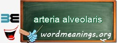 WordMeaning blackboard for arteria alveolaris